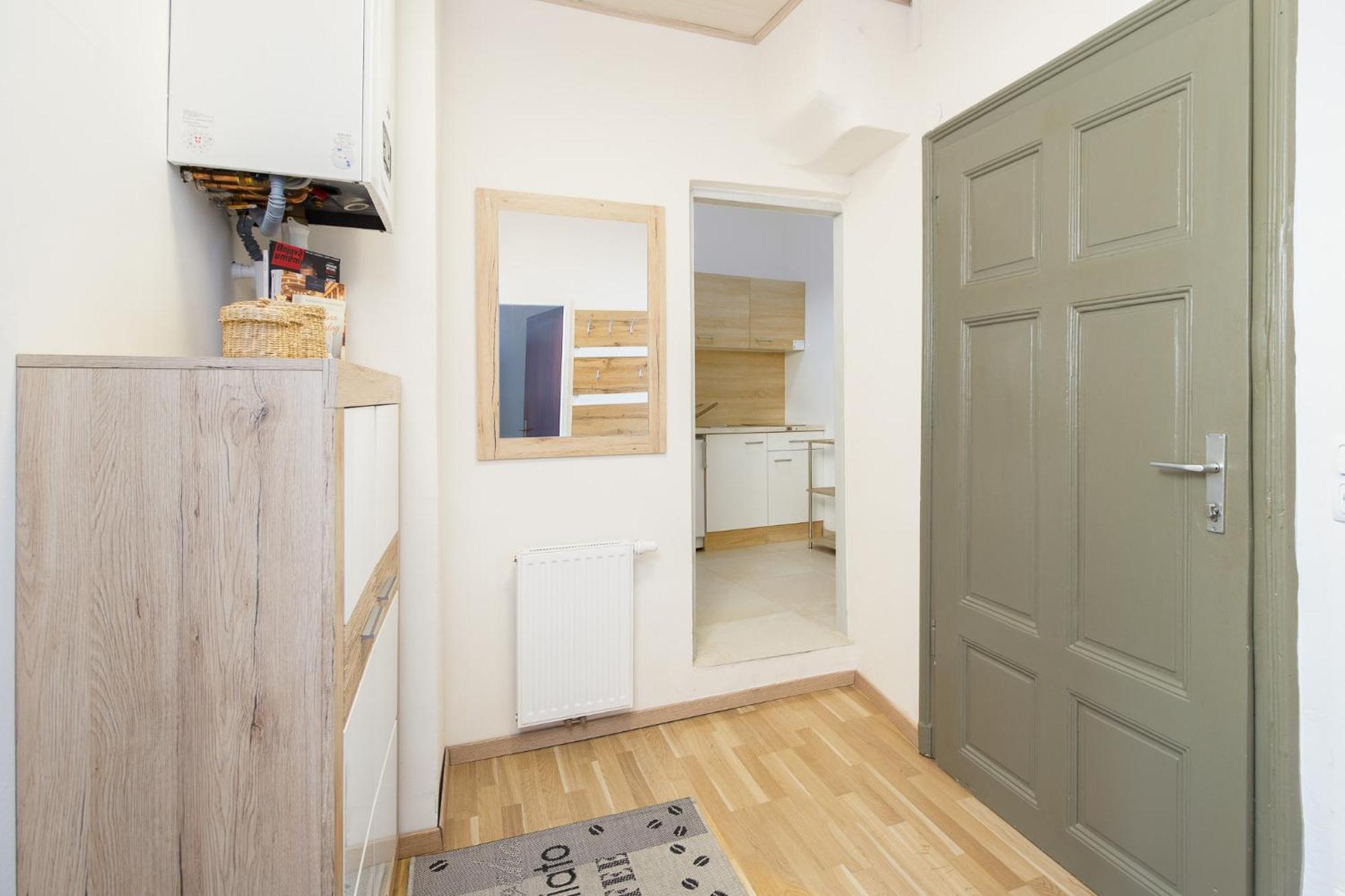 Apartment Johannitergasse Vienna Esterno foto