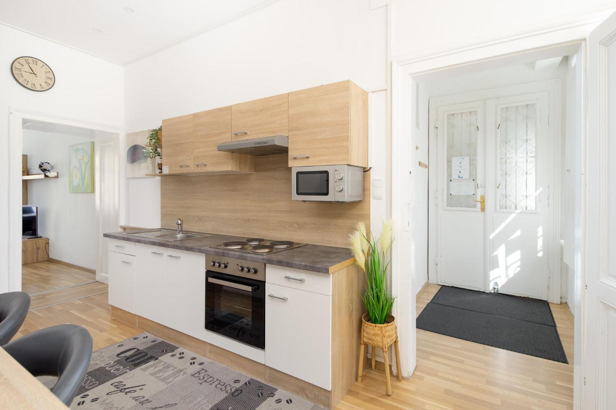 Apartment Johannitergasse Vienna Esterno foto